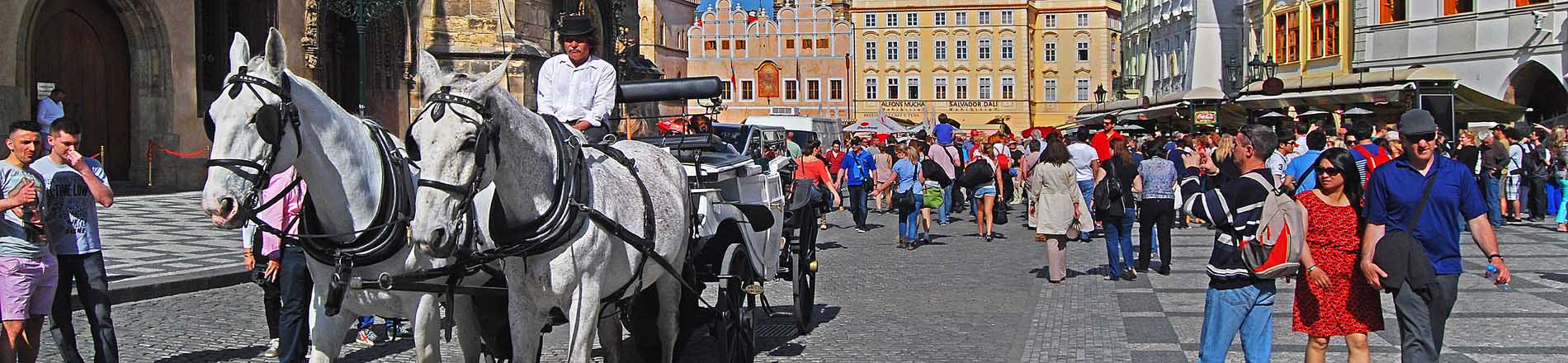 Carriage Rides